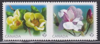 Canada 2013 2625i - Magnolias - Die Cut Se - Tenant Pair Mnh