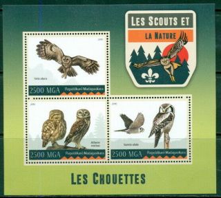 2016 Owls Miniature Sheet Birds Of Prey Scouts 400418