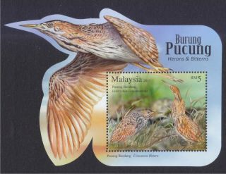 Malaysia 2015 Herons & Bitterns Birds Souvenir Sheet Of 1 Stamp Mnh