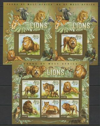 St584 2015 Sierra Leone Animals Fauna Wild Cats Lions Kb,  2bl Mnh Stamps