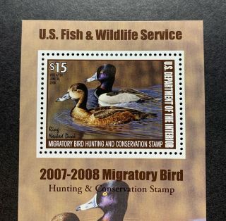 WTDstamps - RW74B 2007 - US Federal Duck Stamp - OG NH 3