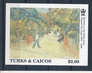 D000070 Paintings Art Van Gogh Public Park S/s Mnh Turks & Caicos Imperforate