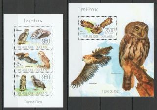 J021 2013 Togo Fauna Birds Owls Les Hiboux Kb,  Bl Mnh