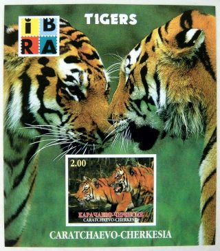 Imperf Tiger Stamps Souvenir Sheet Wildcat Wild Animals Wildlife Nature Bengal