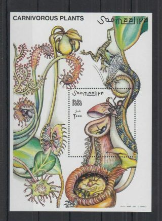 T695.  Somalia - Mnh - Nature - Plants - Carnivorous - Art