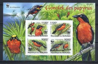 D1553 Nh 2011 Sheet Of 4 Imperf.  Wwf Colorful Birds Souvenir Sheet