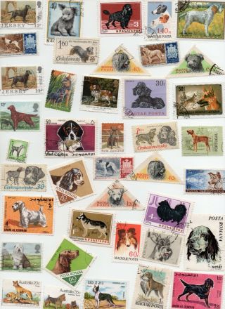 Dogs On Stamps 40 All Different - Off Paper