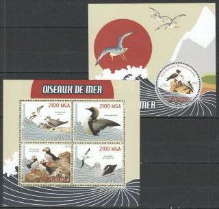 G627 2015 Birds Oiseaux De Mer Fauna Kb,  Bl Mnh Stamps