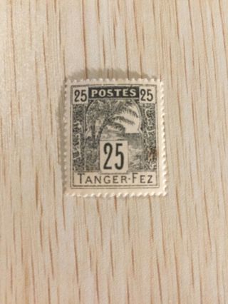 1892 Postage Stamp Tangier Tanger Fez L4 Local Issue For City Of Fez Palm Tree