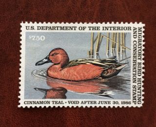 Vintage Us Duck Hunting Stamp,  Rw52.  Unsigned