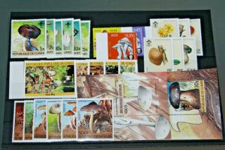 Thematics - Fungi - Selection In Stockcard (mostly Mnh)