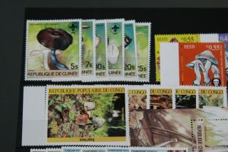 THEMATICS - FUNGI - SELECTION IN STOCKCARD (MOSTLY MNH) 2