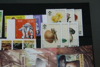 THEMATICS - FUNGI - SELECTION IN STOCKCARD (MOSTLY MNH) 3