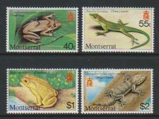 Montserrat - 1980,  Reptiles & Amphibians Set - Mnh - Sg 456/9