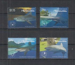 Z294.  Micronesia - Mnh - Nature - Marine Life - Sharks