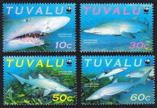 Tuvalu Wwf Sand Tiger Shark 4v Mnh Sg 872 - 875 Mi 862 - 865 Sc 816 A - D