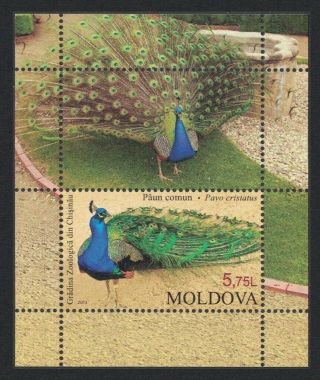 Moldova Peacock Zoological Garden Ms Mnh