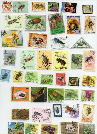 Insects On Stamps 50 All Different - Off Paper