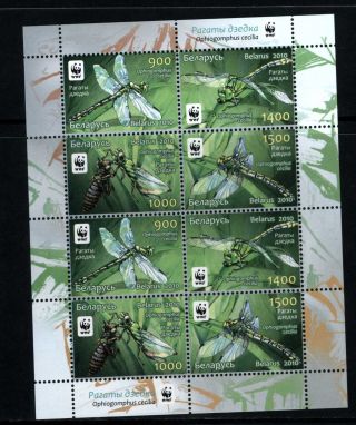 2010.  Belarus.  Wwf.  Dragon - Flies.  Green Snaketail.  M/sh.  Mnh