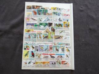 Thematics - Birds - Various And Stamps (12)