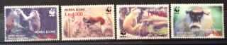World Stamps Sierra Leone 2004 Set 4 Endangered Monkeys Wwf Stamps (b5 - 6u)
