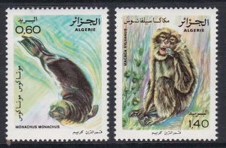 Algeria 1981 Nature Protection Set Never Hinged