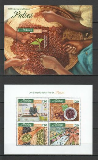 D084 2016 Maldives Food Year Of Pulces 1kb,  1bl Mnh
