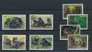 Lk58607 Rwanda Wwf Gorillas & Monkeys Wildlife Fine Lot Mnh