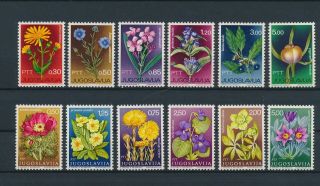 Lk58483 Yugoslavia Plants Flora Nature Flowers Fine Lot Mnh