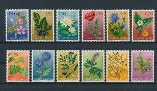 Lk58482 Yugoslavia Plants Flora Nature Flowers Fine Lot Mnh
