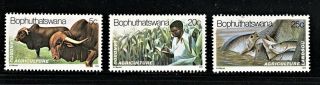 Hick Girl Stamp - Bophuthatswana Stamp Sc 51,  53 - 54 1979 R1434