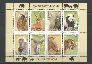 F1256 2009 Tajikistan Wwf Fauna Of Asia Animals 1kb Mnh