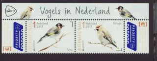 Netherlands 2019 Mnh - Europa,  National Birds - Set Of 2 Stamps Top Row Of Sheet