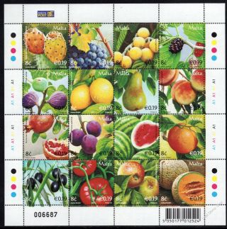 Malta 2007 Fruits Sheet Sg1519 - 1534 Complete Set Of 16 Unmounted