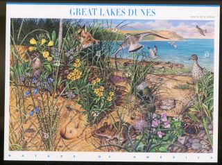 Us Sheet Mnh 4352 42c Great Lakes Dunes,  4352