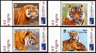 Rarotonga Cook Islands 2012 Fauna World Of Wildlife: Big Cats - Tiger,  Mnh