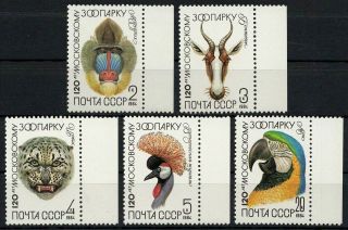 Russia 1984 Sc 5226/30 - Animals Moscow Zoo 120th Anniversary Set Of 5 Mnh