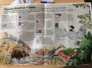 Poster Discover American Wildlife Start Stamp Collecting,  Laminated,