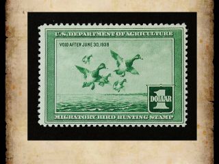 Us Federal Duck Stamp Scott Rw4 $1 1937 Migratory Bird Hunting Mh Og
