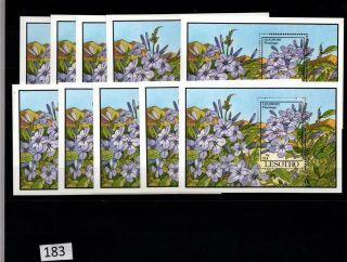 10x Lesotho - Mnh - Flowers,  Flora -