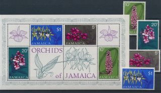 Lk82118 Jamaica Orchids Plants Nature Flowers Fine Lot Mnh