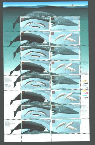 Canada 2000 1868 - 71 Full Pane Of 16 X 0.  46$ Nh Vf Whales