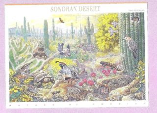 Scott 3293 Us Postage Stamps Sonoran Desert 33 Cent Sheet