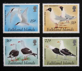 Falkland Islands 1993 Birds.  Full Set Of 4 Stamps.  Nh