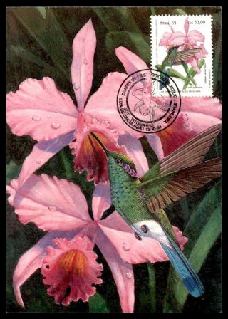 Mayfairstamps Brazil 1991 Flower With Bird Art Craft Flora And Fauna Post Card W