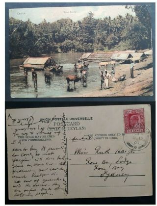 Scarce 1907 Ceylon Postcard " River Scene " Ties 6c Stamp Cnc Colombo To Australia