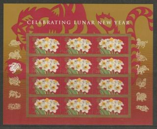 U.  S.  2010 Chinese Year,  12 Stamps,  All Never Hinged Very Fine