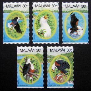 Malawi 1983 Birds.  Complete Set Of 5 Stamps.  Lm