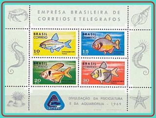 Brazil 1969 Tropical Fish S/s Sc 1130 Mnh Natural Crease Cv$10.  00 Marine Life