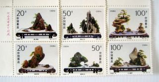 China Bonsai Penjing Stamps Set of 6 1996 MNH u 2
